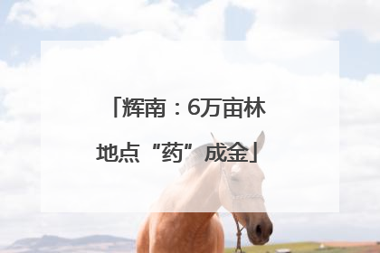 辉南：6万亩林地点“药”成金